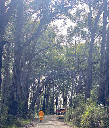 Simmonds_CFA_Chapelvale-0911