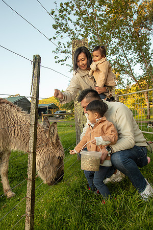 Simmonds_Xu_Family-6667