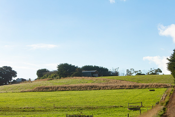 Simmonds_Dillon_Farm_3-4354_web