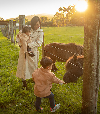 Simmonds_Xu_Family-6706