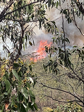Simmonds_CFA_Chapelvale-0875