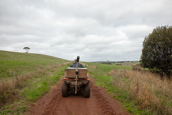 Simmonds_Dillon_Farm-3983_web