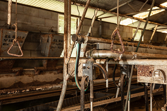 Simmonds_Dillon_Farm-4060_A4