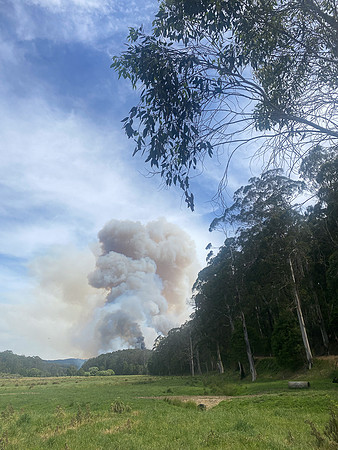 Simmonds_CFA_Chapelvale-0894