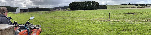Curtis_Dillon_Farm-2624_web