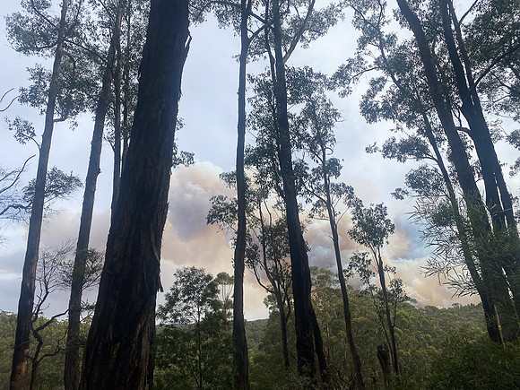 Simmonds_CFA_Chapelvale-0912