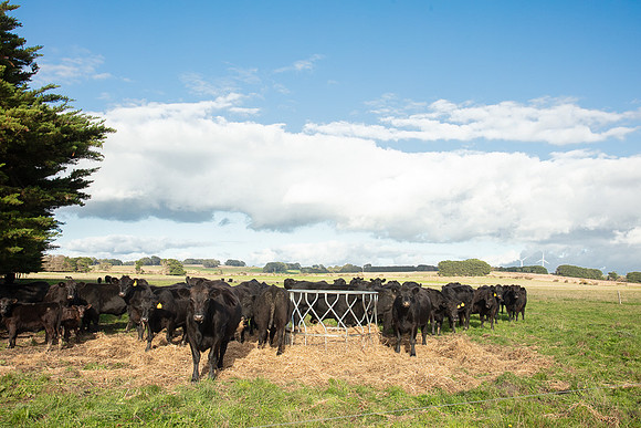 Simmonds_Dillon_Farm_3-4336_web