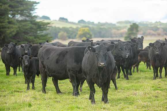 Simmonds_Dillon_Farm_3-4299_web