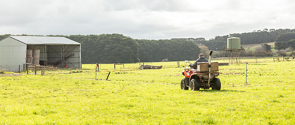 Simmonds_Dillon_Farm-3916-Pano_web