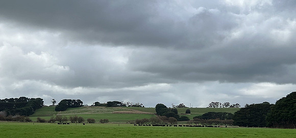 Curtis_Dillon_Farm-2618-2_web