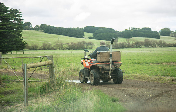 Simmonds_Dillon_Farm-3954_web