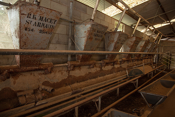 Simmonds_Dillon_Farm-4065_web