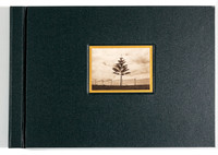 A Lonesome Tree