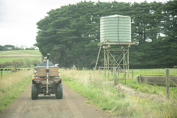 Simmonds_Dillon_Farm-3957_web