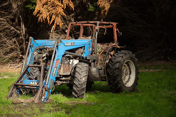 Simmonds_Dillon_Farm-3890_web