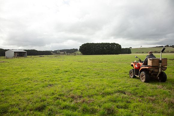 Simmonds_Dillon_Farm-3907_web