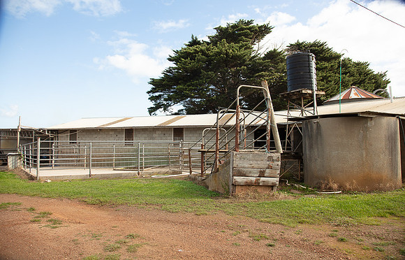 Simmonds_Dillon_Farm_3-4235_web