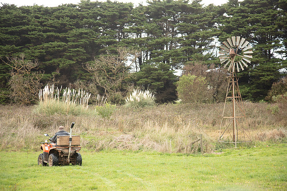 Simmonds_Dillon_Farm-3929_web