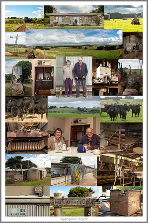 Dillon Farm Collage-final-MPF