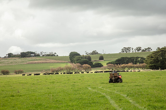 Simmonds_Dillon_Farm-3896_web