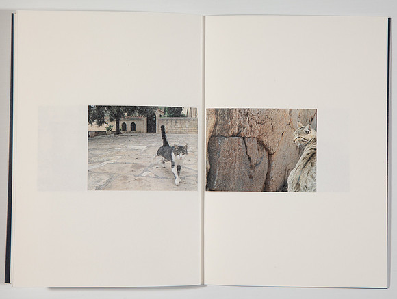 SIMMONDS_P-Lyssiotis_Those_Voices_Again-6104