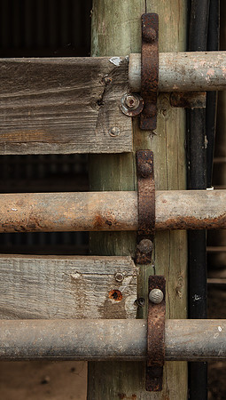 Simmonds_Dillon_Farm-3853_web