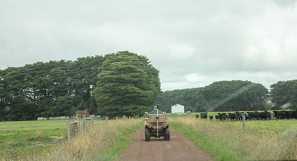Simmonds_Dillon_Farm-3873_web