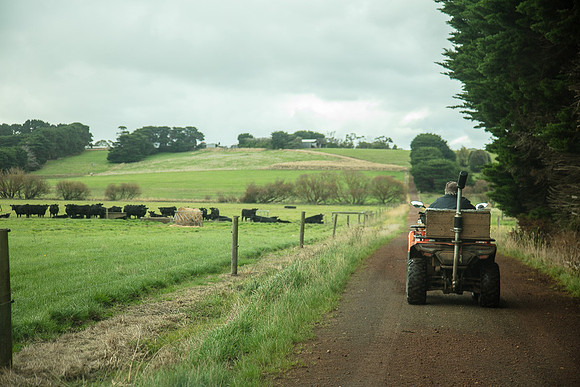 Simmonds_Dillon_Farm-3961_web