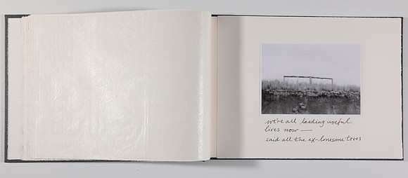 SIMMONDS_P-Lyssiotis_A-L_Tree-5864
