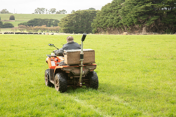 Simmonds_Dillon_Farm-3892_web