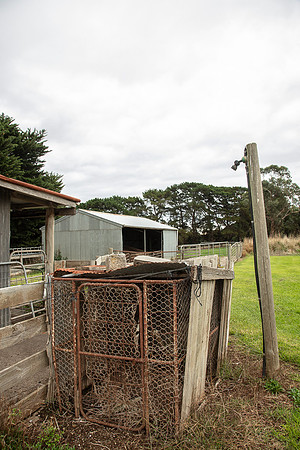 Simmonds_Dillon_Farm-4078_web