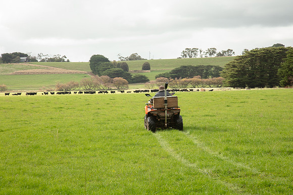 Simmonds_Dillon_Farm-3894_web