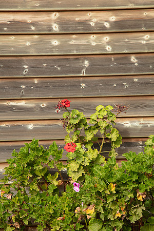 Simmonds_Dillon_Farm_3-4234_web