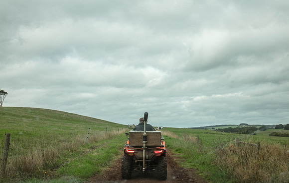 Simmonds_Dillon_Farm-3979_web