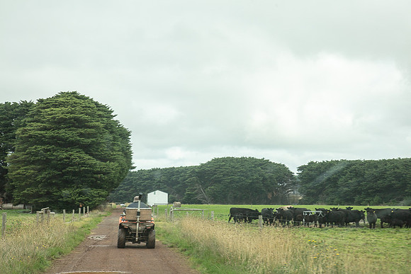 Simmonds_Dillon_Farm-3877_web