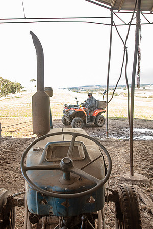 Simmonds_Dillon_Farm-3817_web
