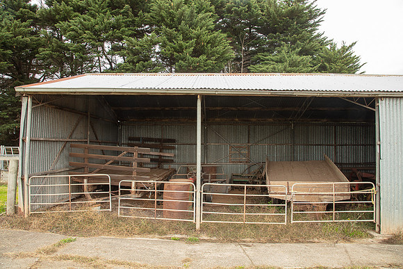 Simmonds_Dillon_Farm-4081_web