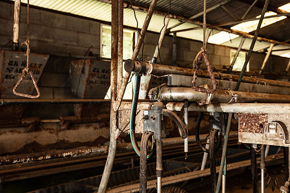Simmonds_Dillon_Farm-4060_web