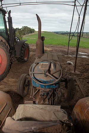 Simmonds_Dillon_Farm-4122_web