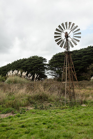 Simmonds_Dillon_Farm-3934_web