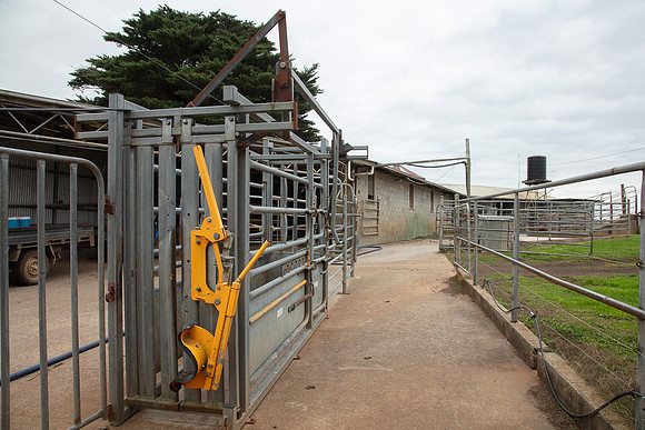 Simmonds_Dillon_Farm-4070_web