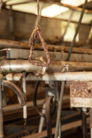 Simmonds_Dillon_Farm-4059_web