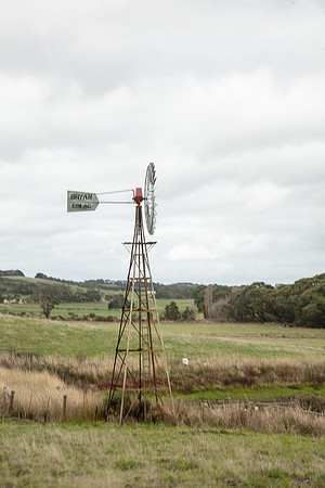 Simmonds_Dillon_Farm-3988_web