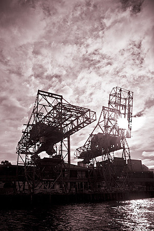 Cranes silhouetted on Maribynong River