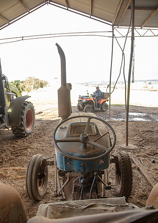 Simmonds_Dillon_Farm-3815_web