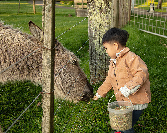 Simmonds_Xu_Family-6652