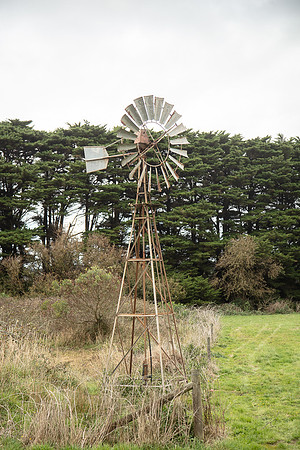 Simmonds_Dillon_Farm-3933_web