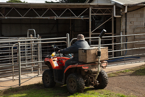 Simmonds_Dillon_Farm-3775_web
