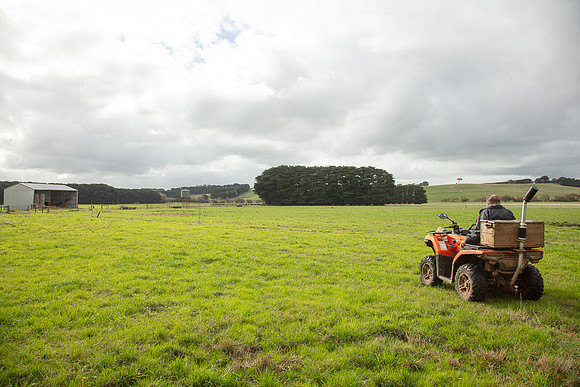 Simmonds_Dillon_Farm-3909_web