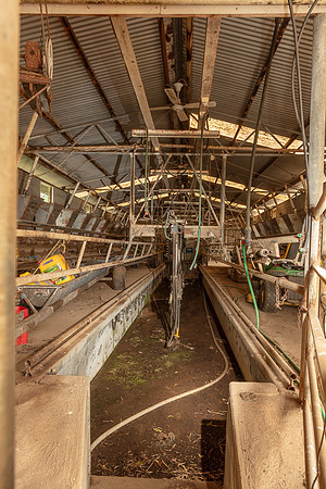 Simmonds_Dillon_Farm-4053_web